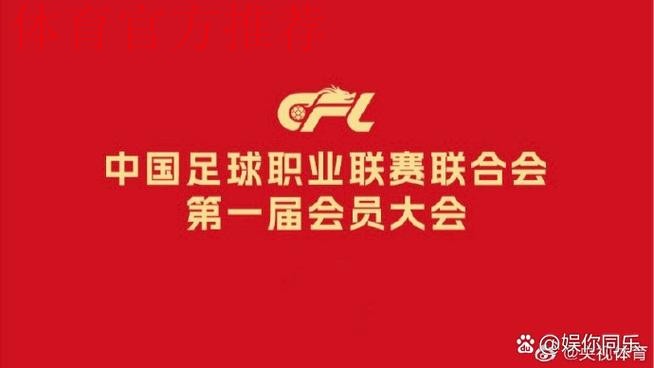 中国足协关于推进职业联赛理事会相关工作的说明